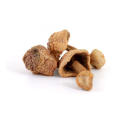 Dried Agaricus Subrufescens Blazei Murr Mushroom